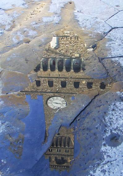 Close-ups: Florence in a Puddle 3