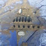 Close-ups: Florence in a Puddle 3