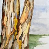Carla Scheidlinger Watercolors