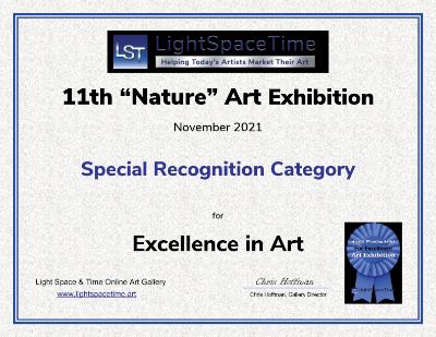 Special Recognition Award Special Recognition Award