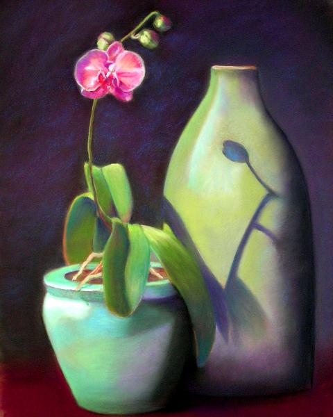 The Pink Orchid