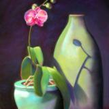 The Pink Orchid