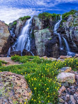 Timberline Cascade of Water and WIldflowers Timberline Cascade of Water and WIldflowers