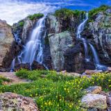 Timberline Cascade of Water and WIldflowers