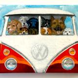 NINE DOGS TAKE THE BUS TO THE BEACH