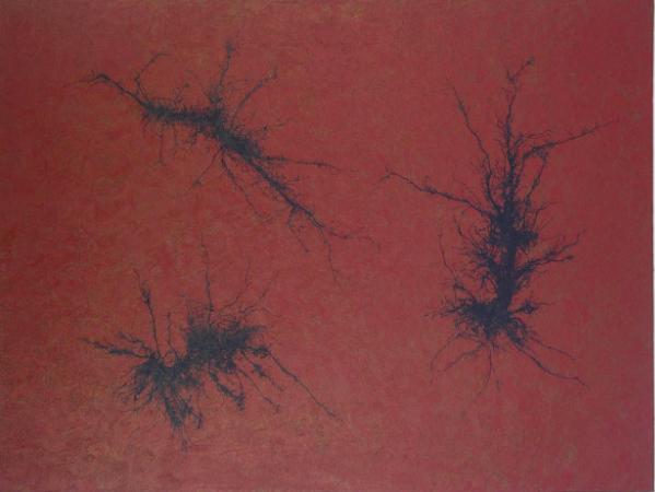 Zephyr Series No 44