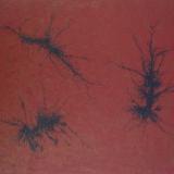 Zephyr Series No 44