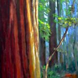 2022 Art Show International 5th Open Exhibition 2022 Art Show International 5th Open Exhibition