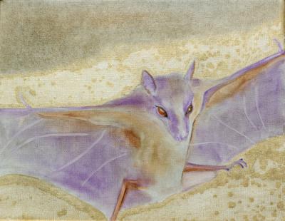 Mourning Bat Mourning Bat