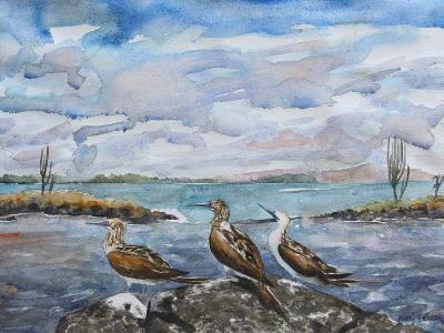 The blue ffoted boobies, 35cm x 50cm, 2017 The blue ffoted boobies, 35cm x 50cm, 2017