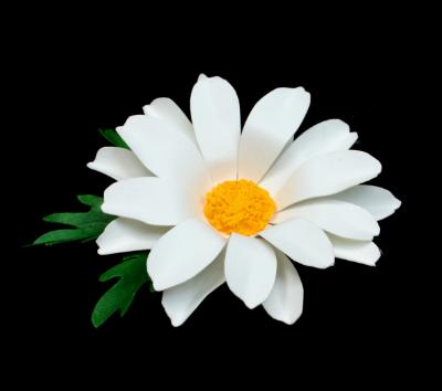 White Daisy Pin White Daisy Pin