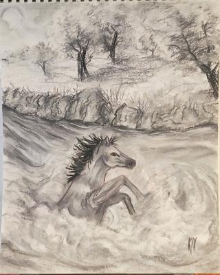 Horse Crossing the River