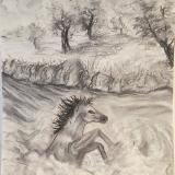 Horse Crossing the River