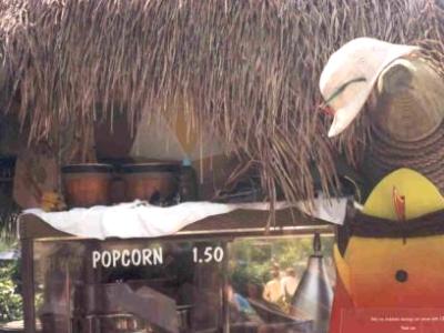 Let's Go Slurpin'! Typhoon Lagoon Let's Go Slurpin'! Typhoon Lagoon