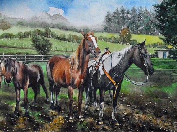 Horses of Machachi, 38cm x 56cm, 2022