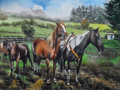 Horses of Machachi, 38cm x 56cm, 2022 Horses of Machachi, 38cm x 56cm, 2022