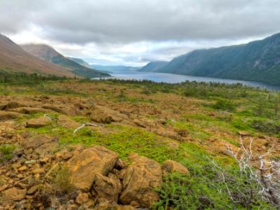 Trout River Pond Overlook Trout River Pond Overlook
