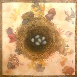 Full Nest