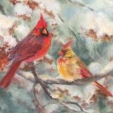 Winter Cardinals