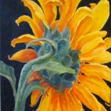 Seductive Sunflower V