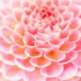 River Gallery:  Paintings, Sculptures, Jewelry and Glass