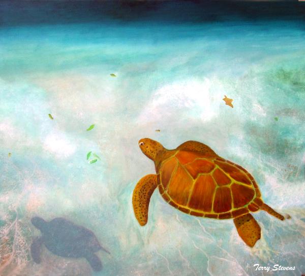 Meeting a Turtle in Barbados
