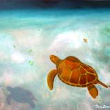 Meeting a Turtle in Barbados