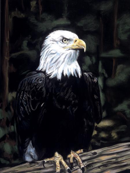 And Like a Thunderbolt