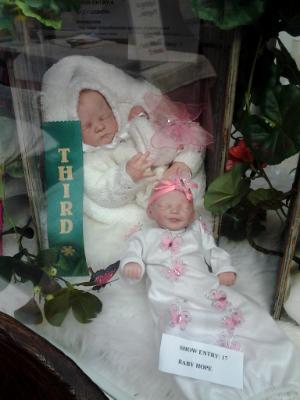 Thrid place Winner: Baby Butterfly ~ Corbin