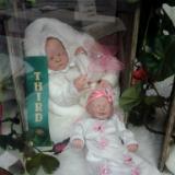 Thrid place Winner: Baby Butterfly ~ Corbin