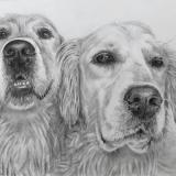 Best Friends