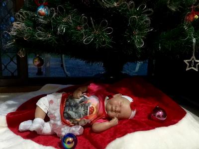 Christmas 2016 Show entry: Chelsie (T&A McT)