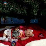 Christmas 2016 Show entry: Chelsie (T&A McT)