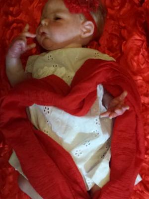  Show entry: Willow (J.P)