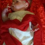  Show entry: Willow (J.P)