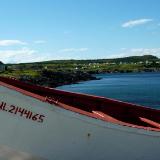 Intl ~ Newfoundland Intl ~ Newfoundland