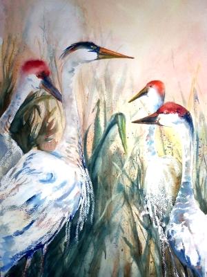 Birds of a Feather Birds of a Feather