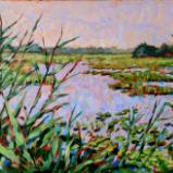 Mannington Meadow Summer