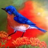 Blue bird on 5x7 panel in acylic