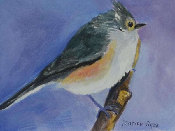 Tufted titmouse on 5x7 panel in oil 