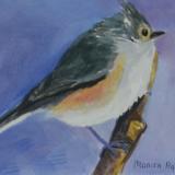 Tufted titmouse on 5x7 panel in oil 