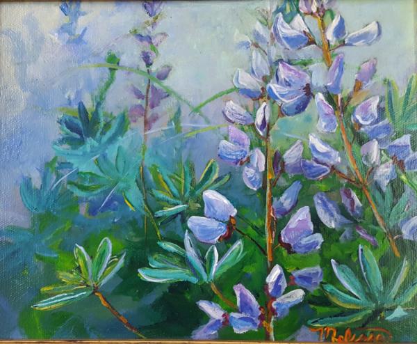 Blue Lupines