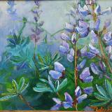 Blue Lupines