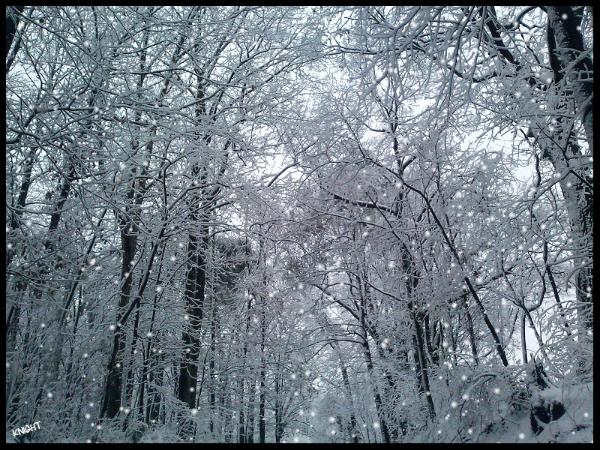 Snowfall
