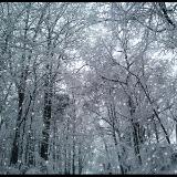 Snowfall