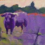 Purple Bull