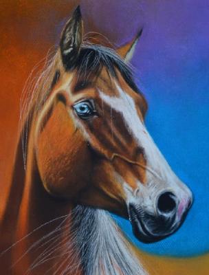 Il cavallo dell´occhio blu, 38cm x 28cm, 2020