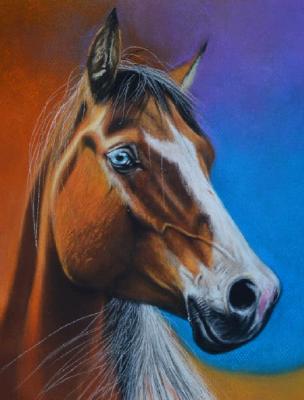 Il cavallo dell´occhio blu, 38cm x 28cm, 2020 Il cavallo dell´occhio blu, 38cm x 28cm, 2020