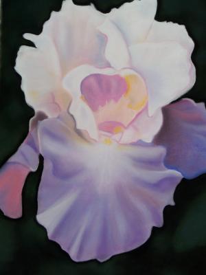 "Large Iris"