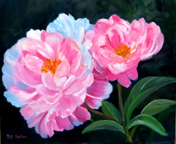 PINK & WHITE PEONIES - OIL - 20X24